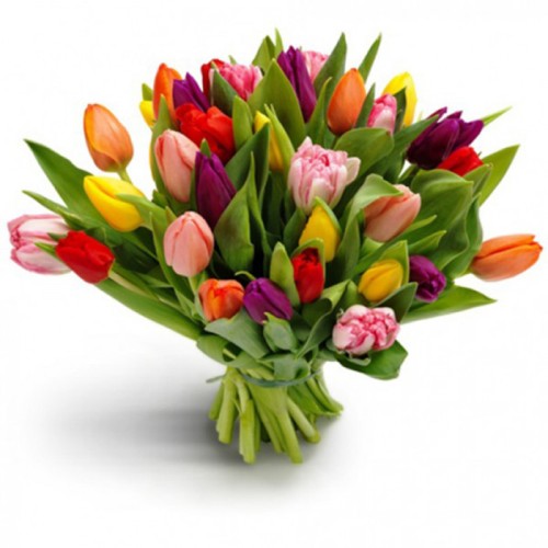 Multi-Color Tulip Bouquet 